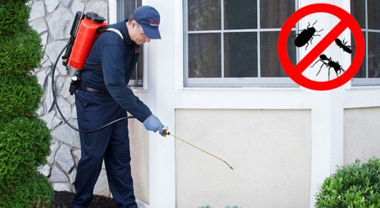 Kestel Dezenfeksiyon böcek ilaçlama ve haşere kontrolü — ilaclama-tr.com